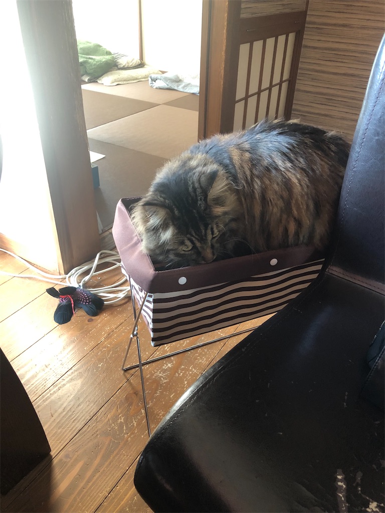 f:id:green3lk:20200526075745j:image