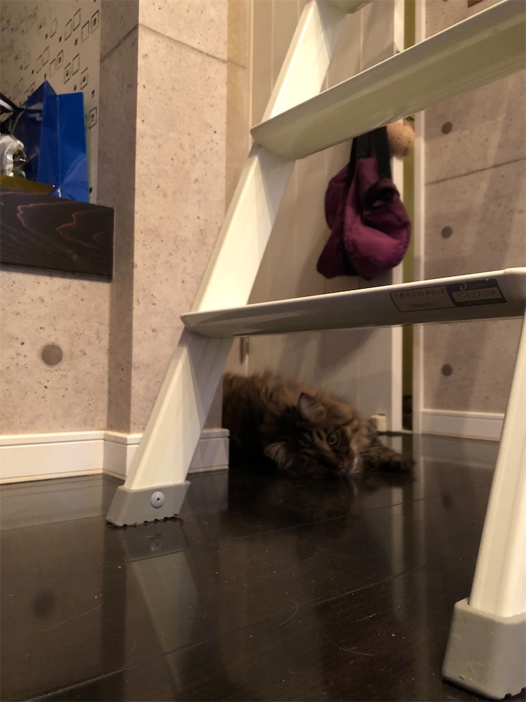 f:id:green3lk:20200530090836j:image