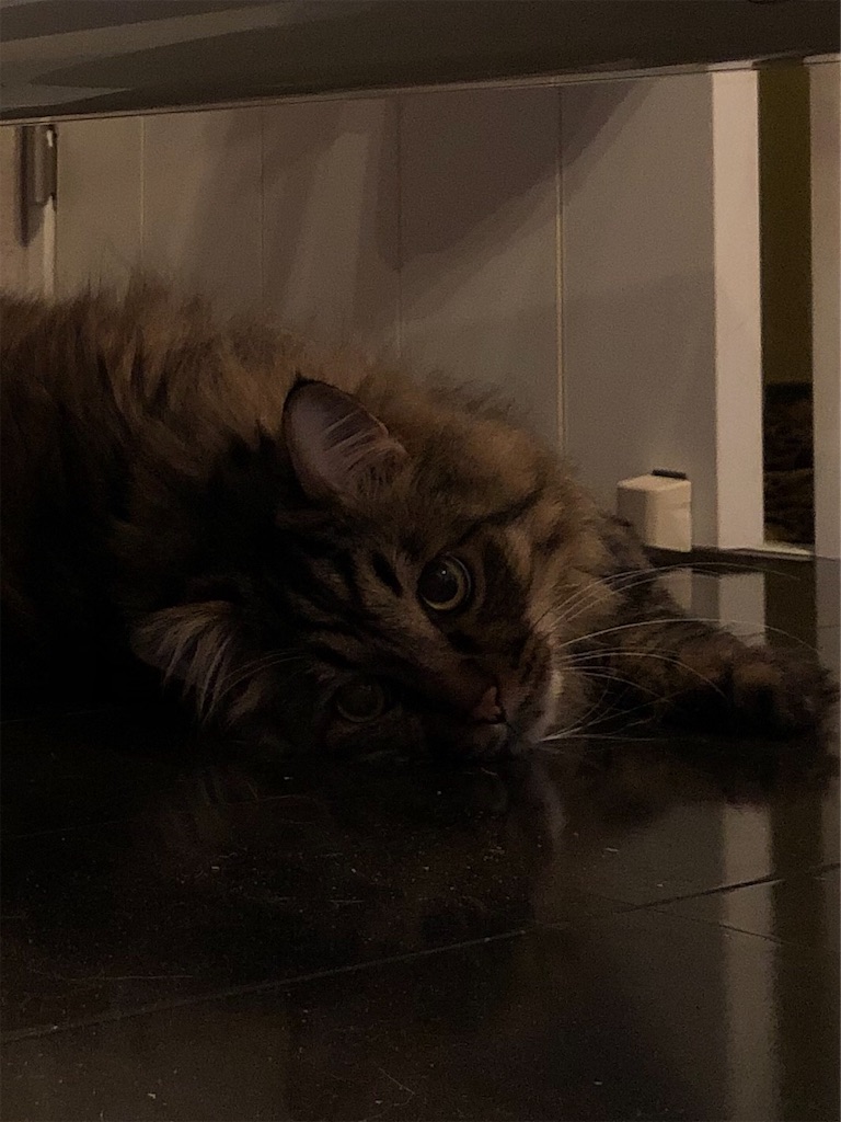 f:id:green3lk:20200530090901j:image