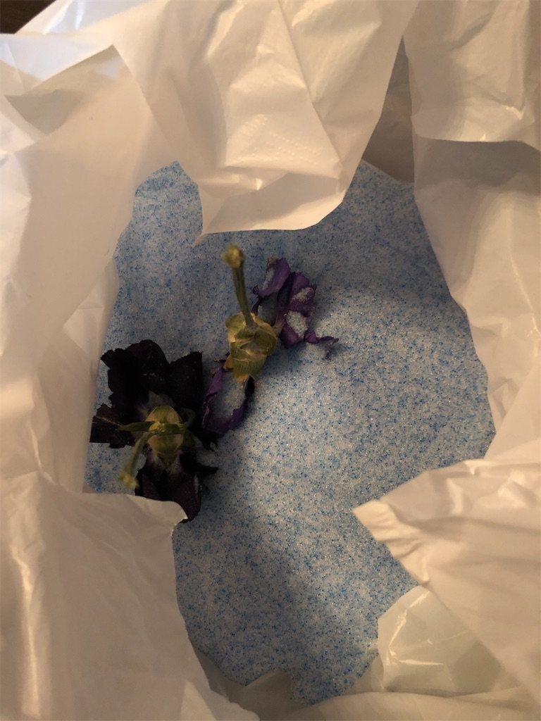 f:id:green3lk:20200531113206j:image