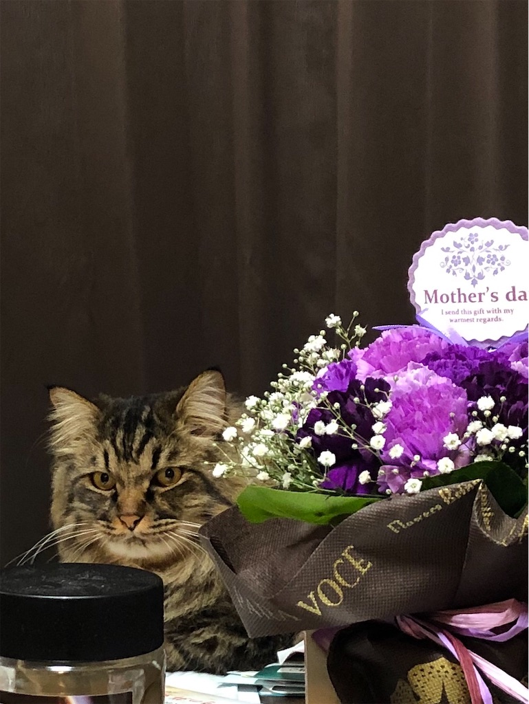 f:id:green3lk:20200531113737j:image