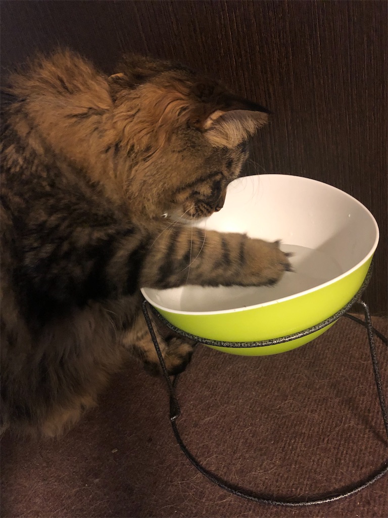 f:id:green3lk:20200610102455j:image