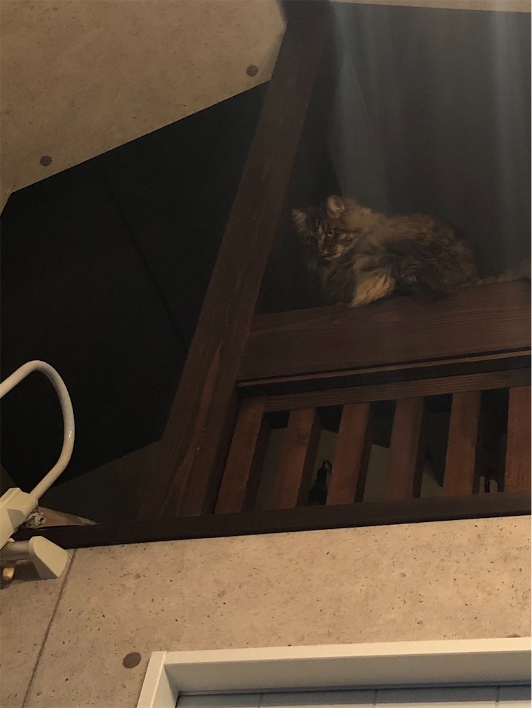 f:id:green3lk:20200709075034j:image