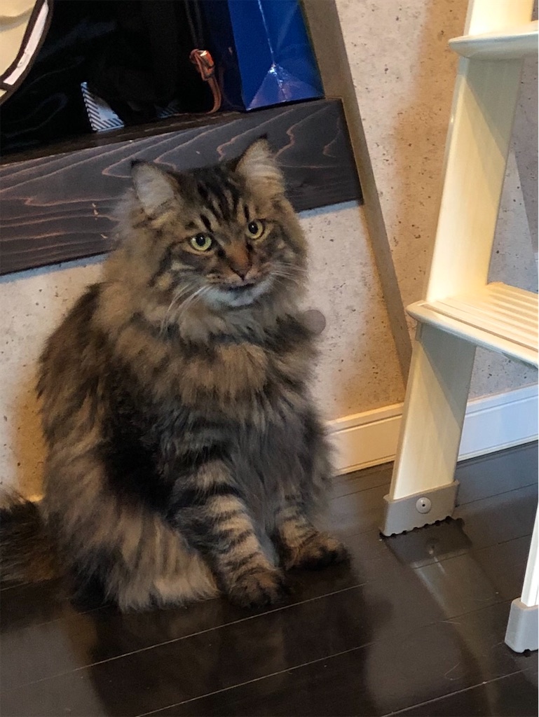 f:id:green3lk:20200709080633j:image