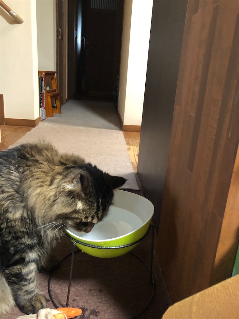 f:id:green3lk:20200725103517j:image