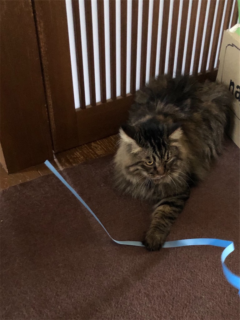 f:id:green3lk:20200726113448j:image