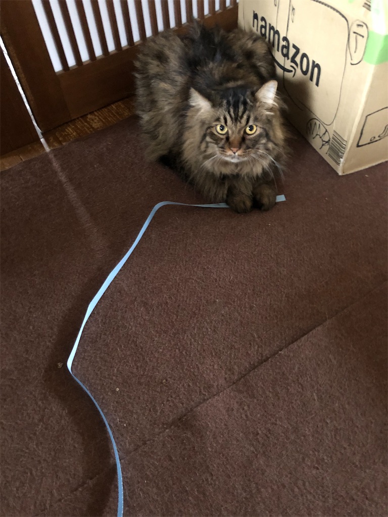 f:id:green3lk:20200726113631j:image