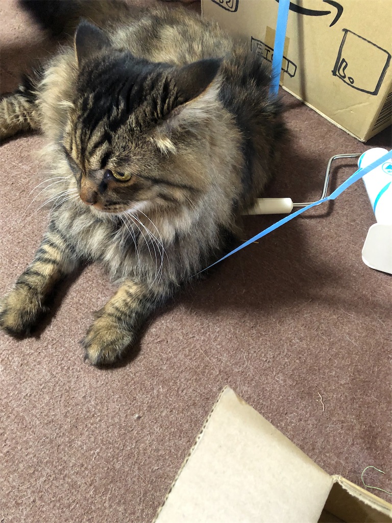 f:id:green3lk:20200726113813j:image