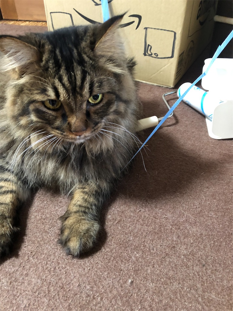 f:id:green3lk:20200726113938j:image