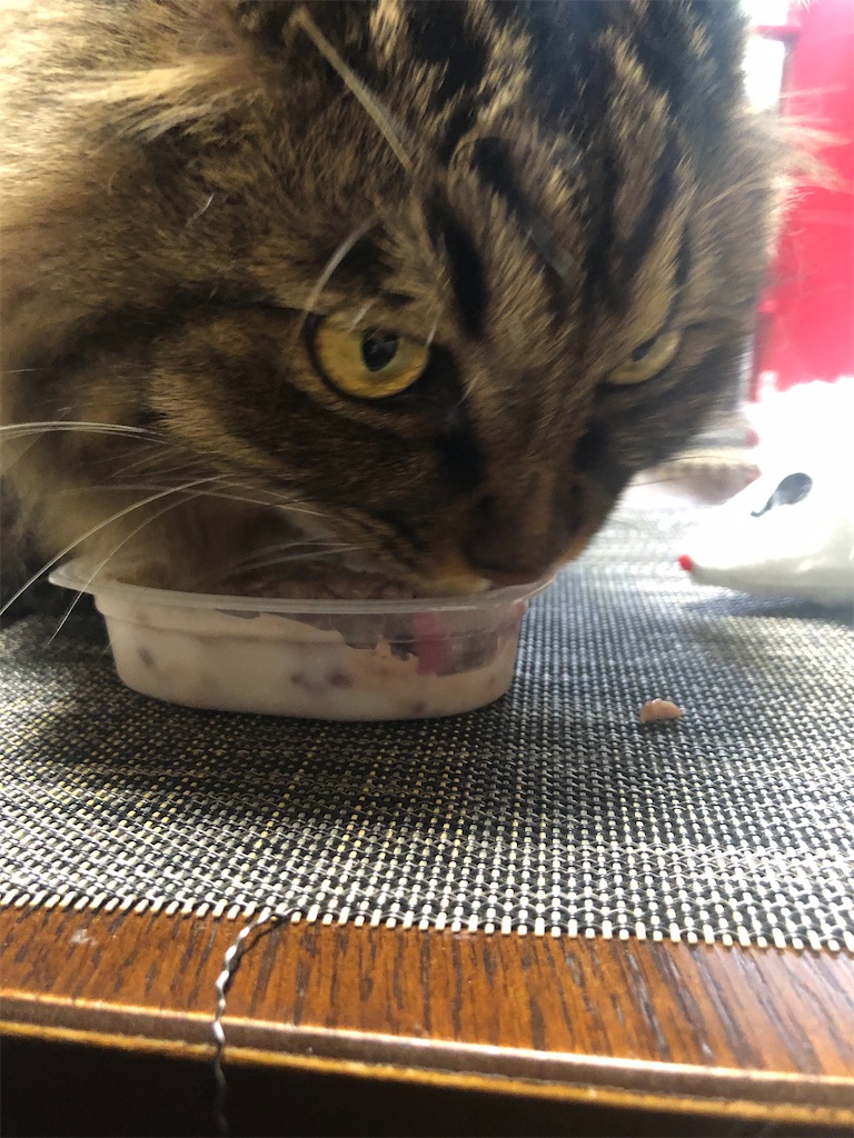 f:id:green3lk:20200810171602j:image