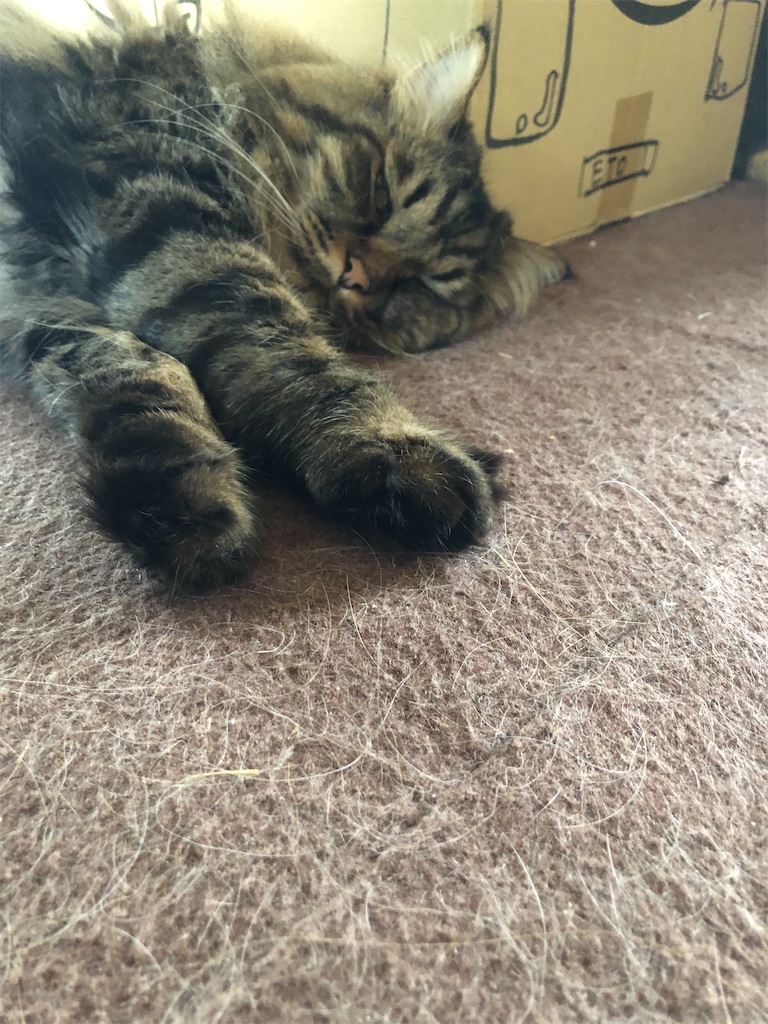 f:id:green3lk:20200810171748j:image