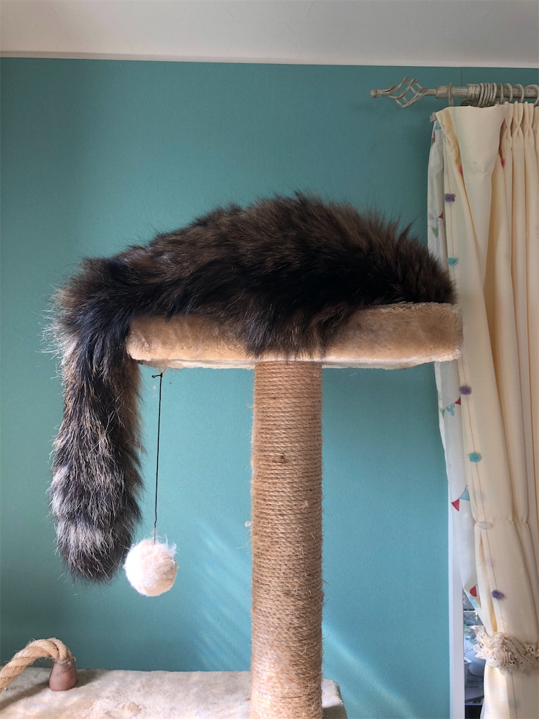 f:id:green3lk:20200831075803j:image