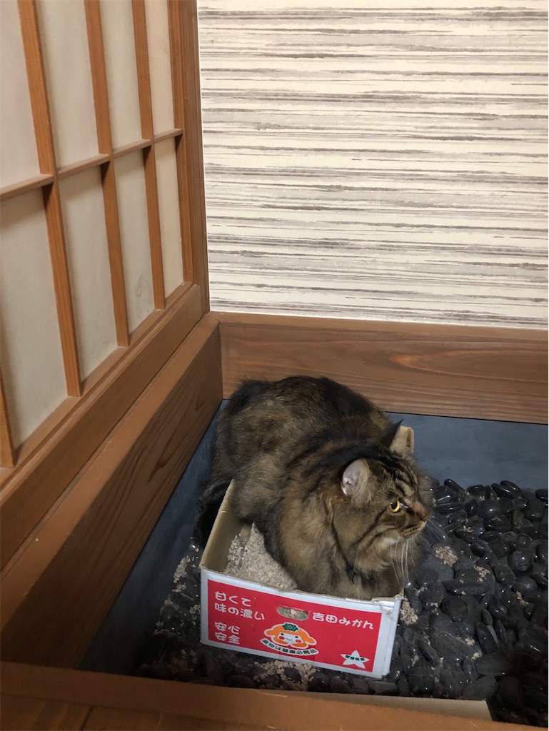 f:id:green3lk:20200930073903j:image