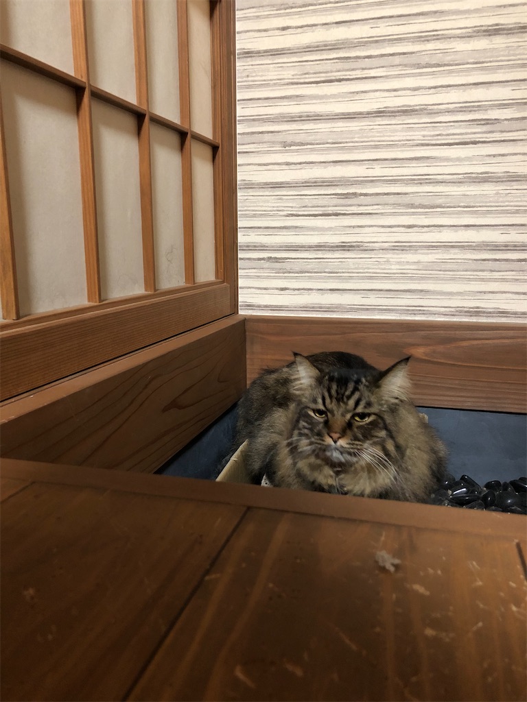 f:id:green3lk:20200930074522j:image