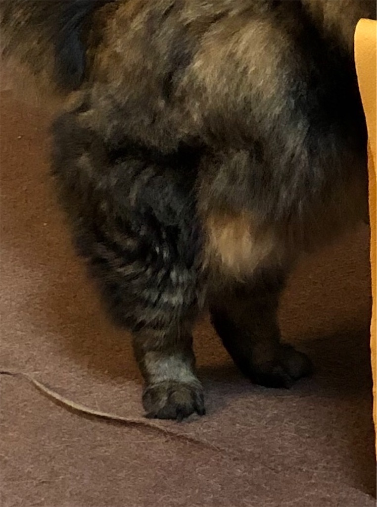 f:id:green3lk:20201017083503j:image