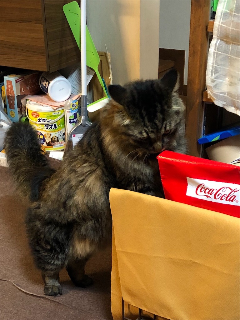 f:id:green3lk:20201017083820j:image