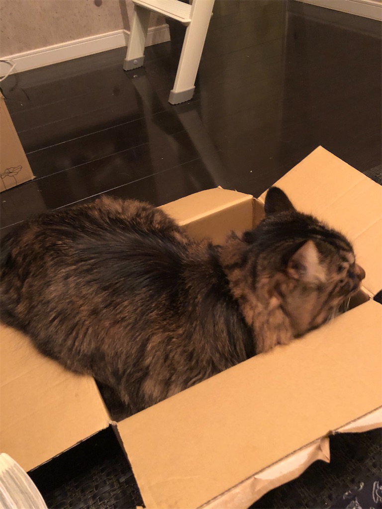 f:id:green3lk:20201110073901j:image