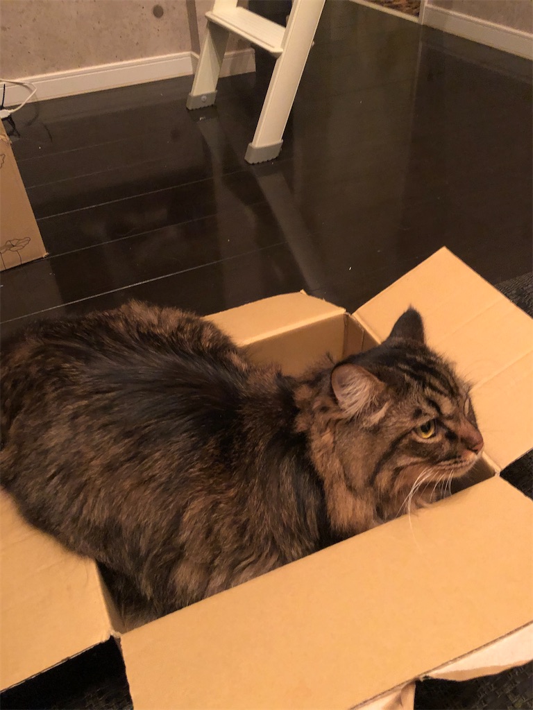 f:id:green3lk:20201110073913j:image