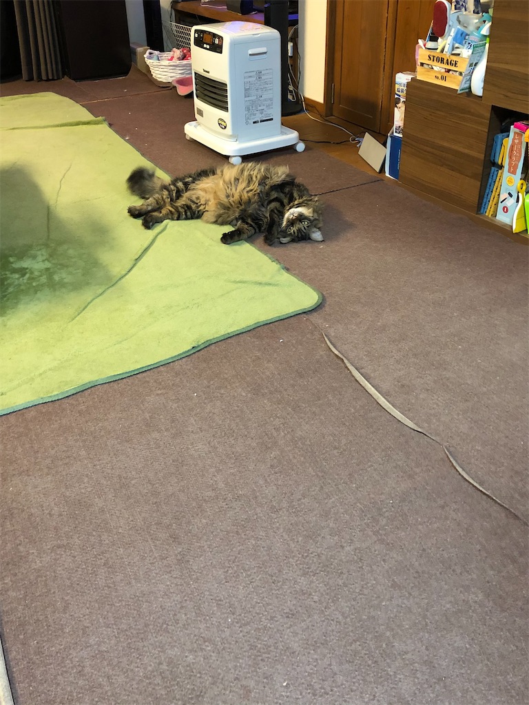 f:id:green3lk:20201230104716j:image