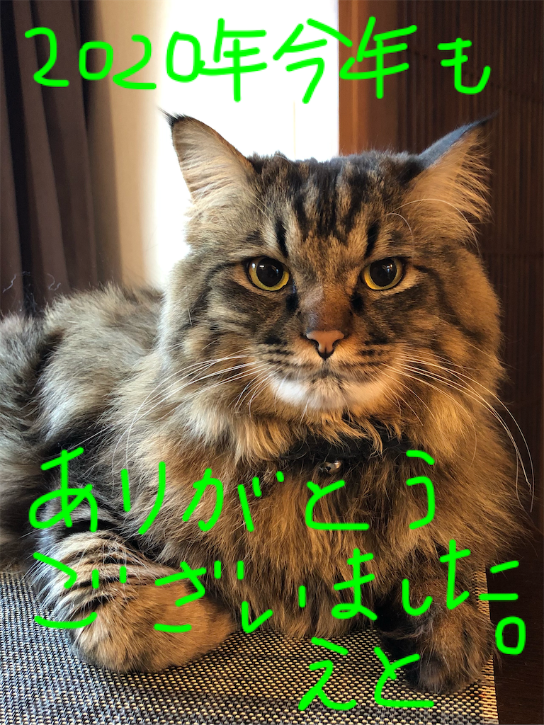 f:id:green3lk:20201231155416p:image