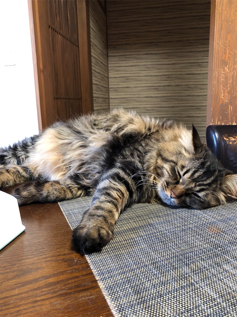 f:id:green3lk:20210103110343j:image