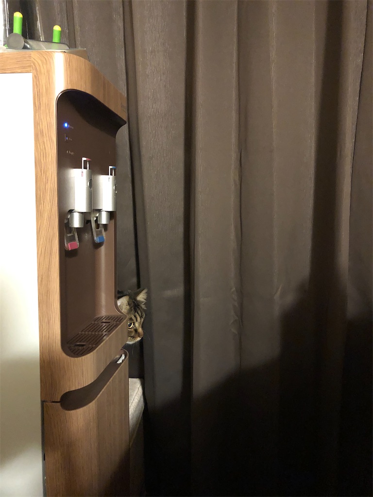 f:id:green3lk:20210223100536j:image