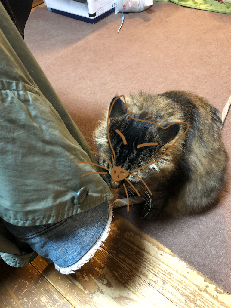 f:id:green3lk:20210421081115p:image