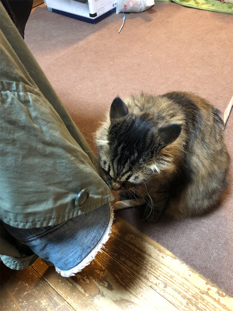 f:id:green3lk:20210421081426j:image