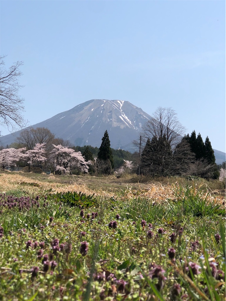 f:id:green3lk:20220413074027j:image