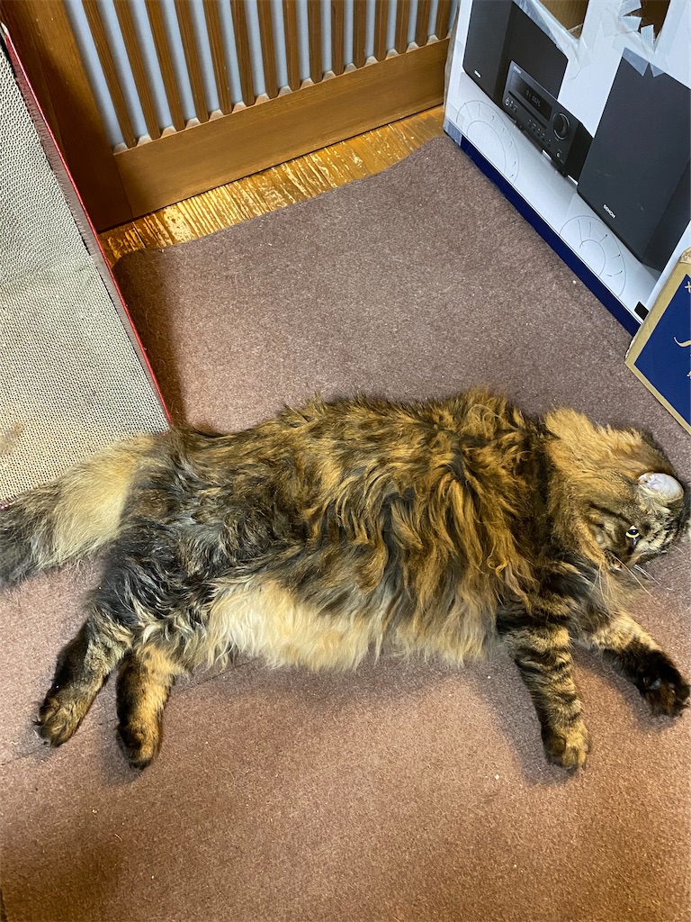 f:id:green3lk:20220513075218j:image