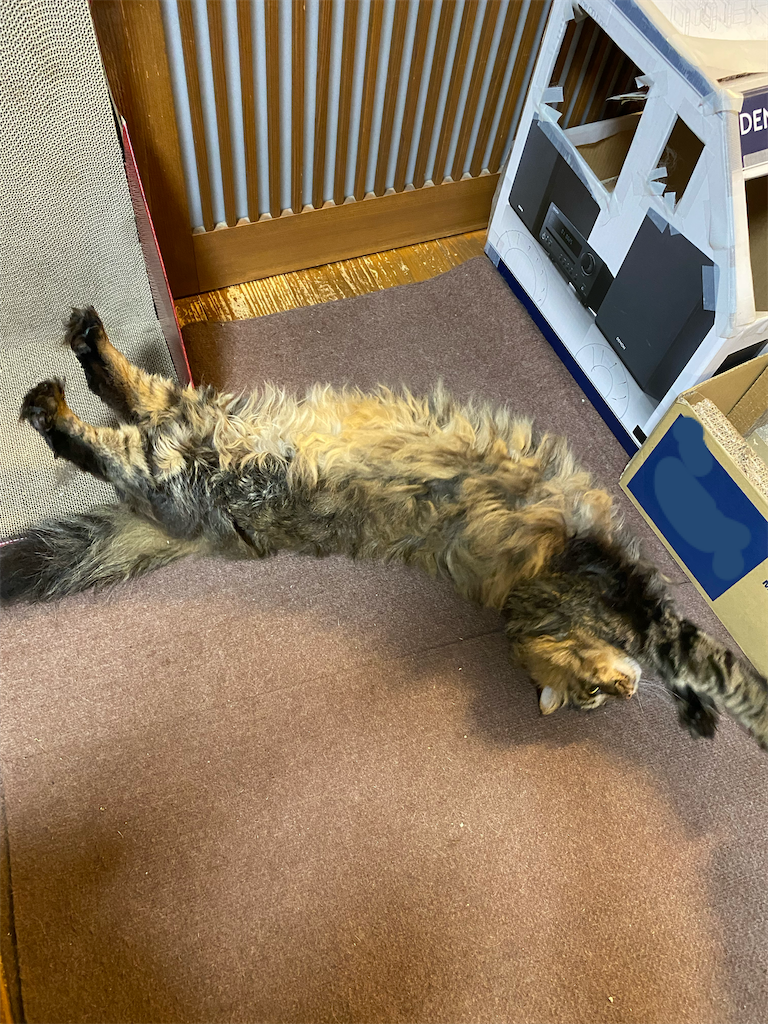 f:id:green3lk:20220513080253p:image