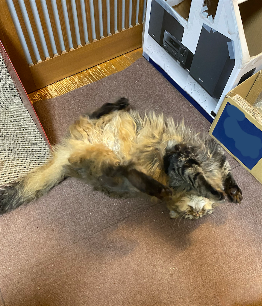 f:id:green3lk:20220513080338p:image