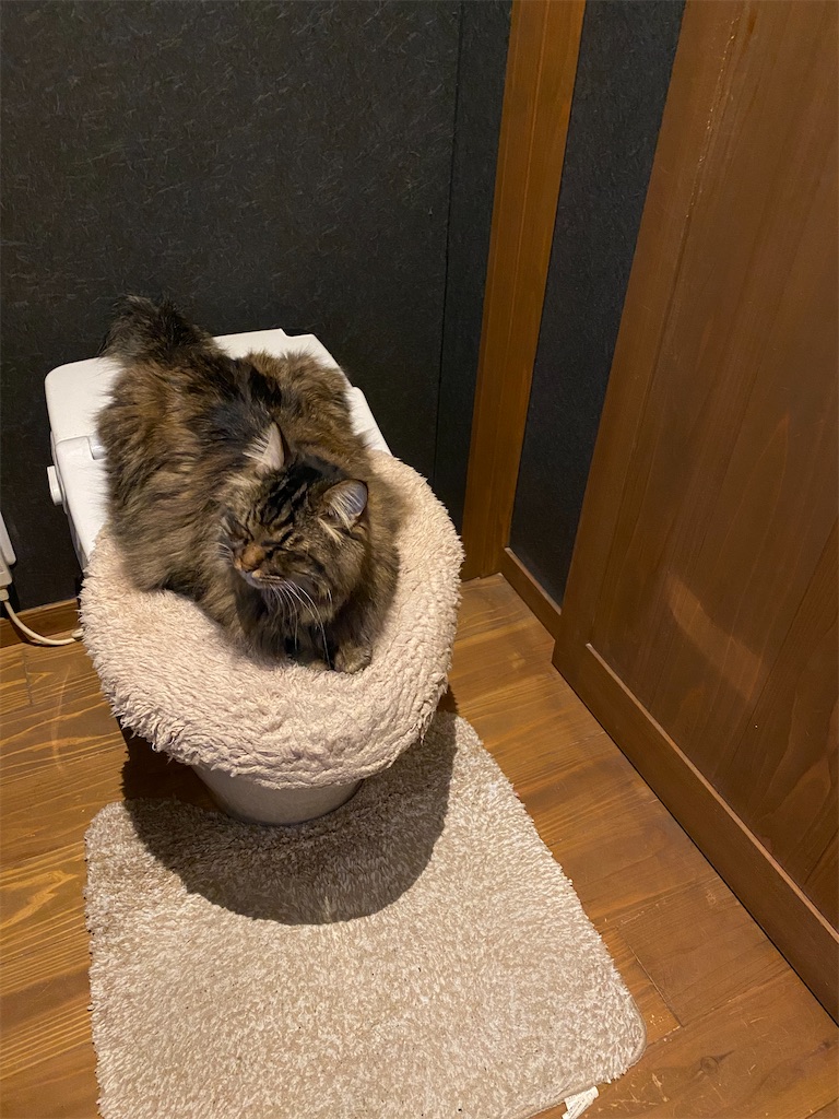 f:id:green3lk:20220705081701j:image