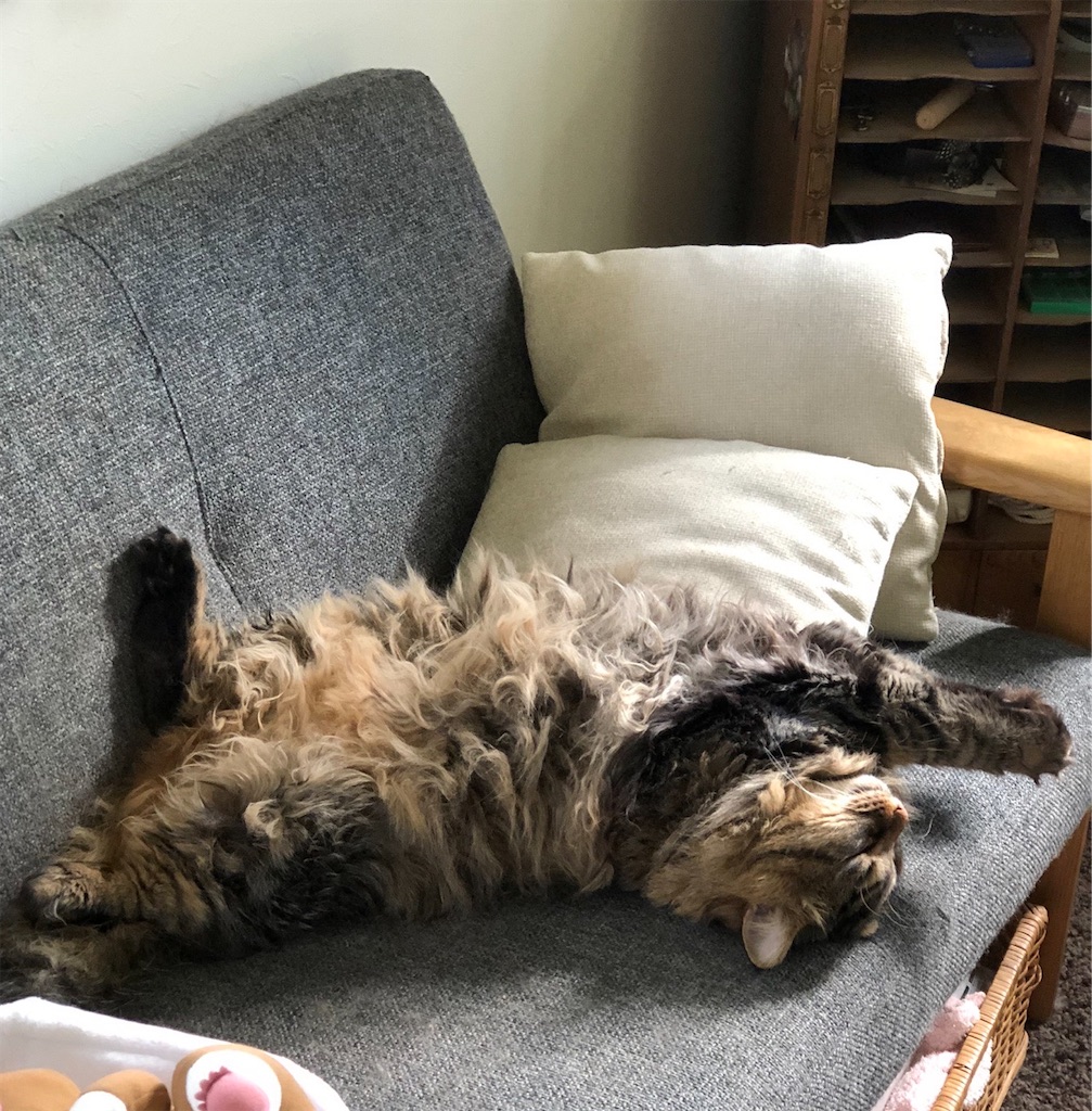 f:id:green3lk:20220707075742j:image