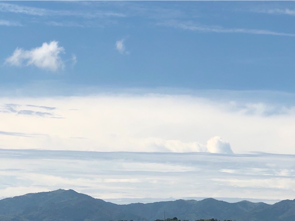 f:id:green3lk:20220707080820j:image