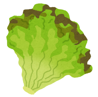 サニーレタスの栄養がすごかった Greennのブログ