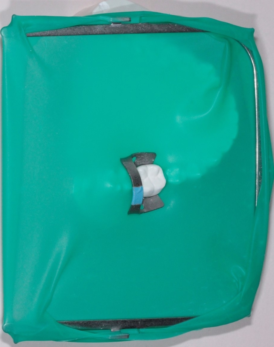 f:id:green_over06:20191005233028j:plain