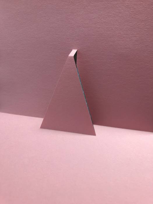 f:id:green_party:20191230132529j:plain