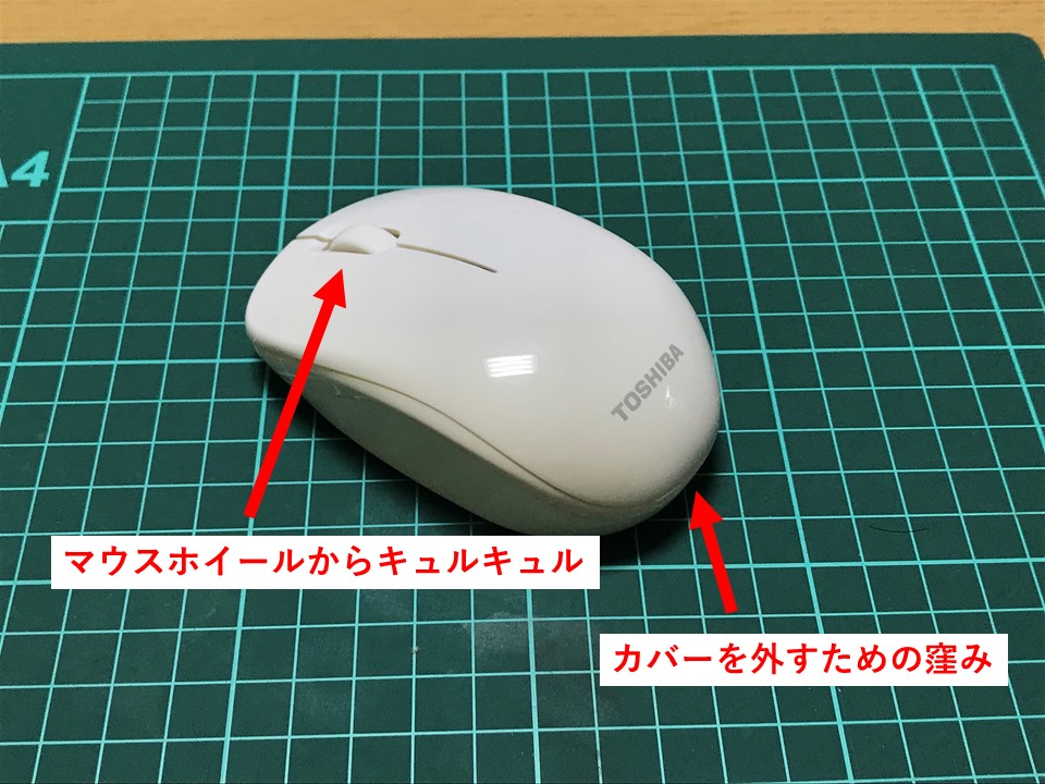 f:id:green_pepper:20210416200522j:plain