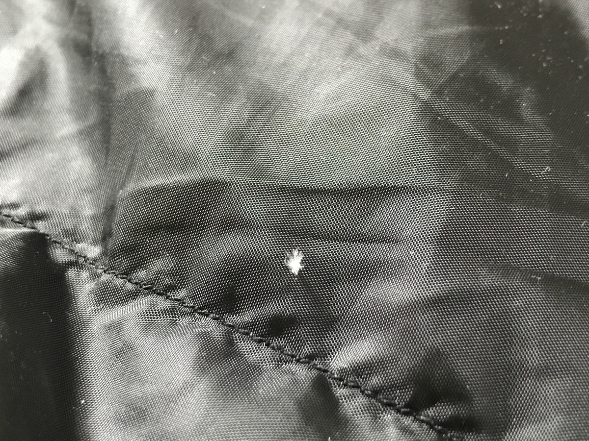 f:id:green_pepper:20220219061309j:plain