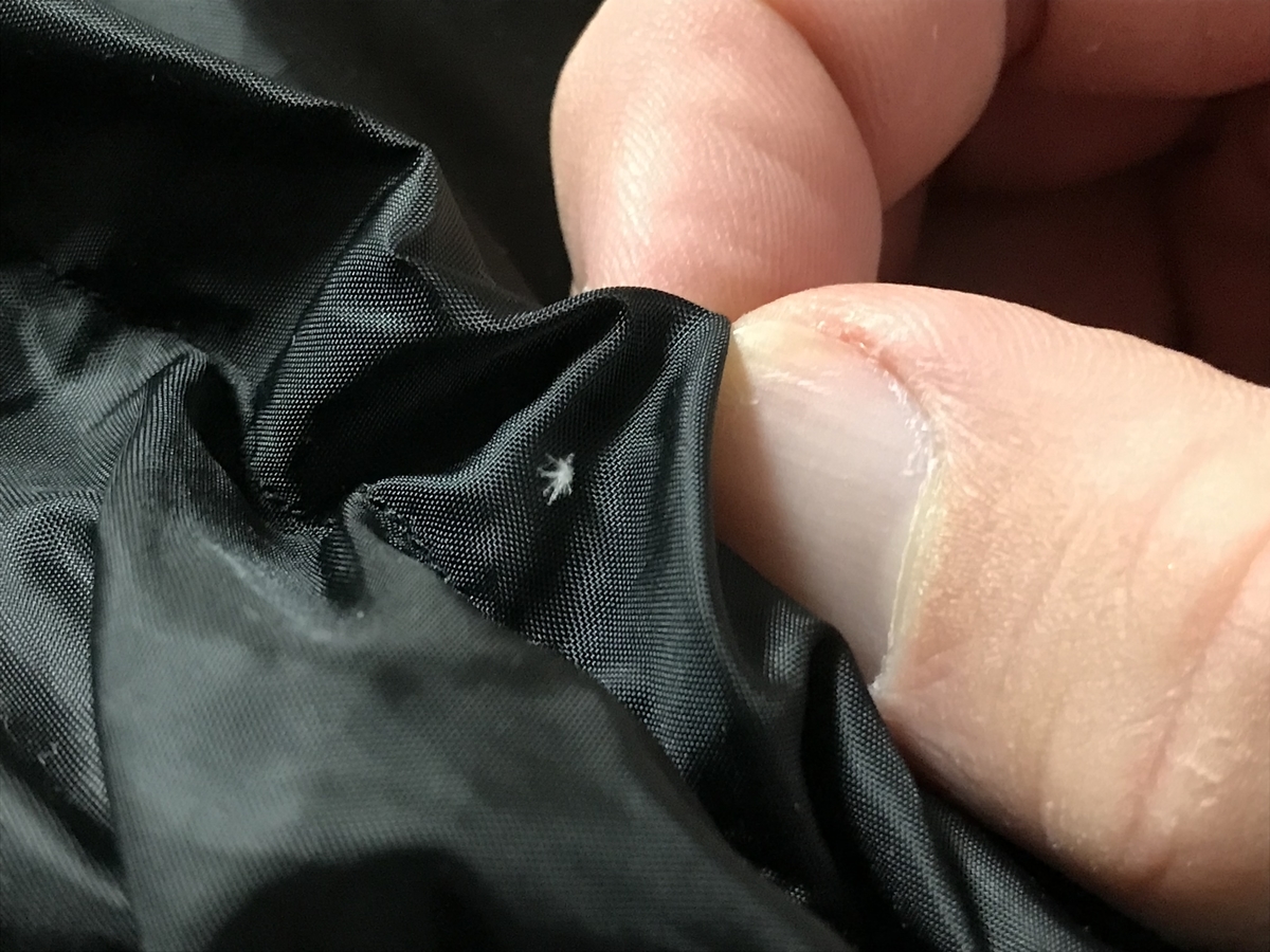 f:id:green_pepper:20220219061312j:plain