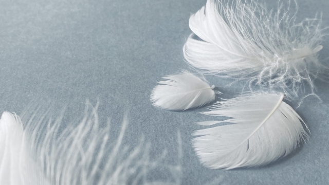 f:id:green_pepper:20220219064407j:plain