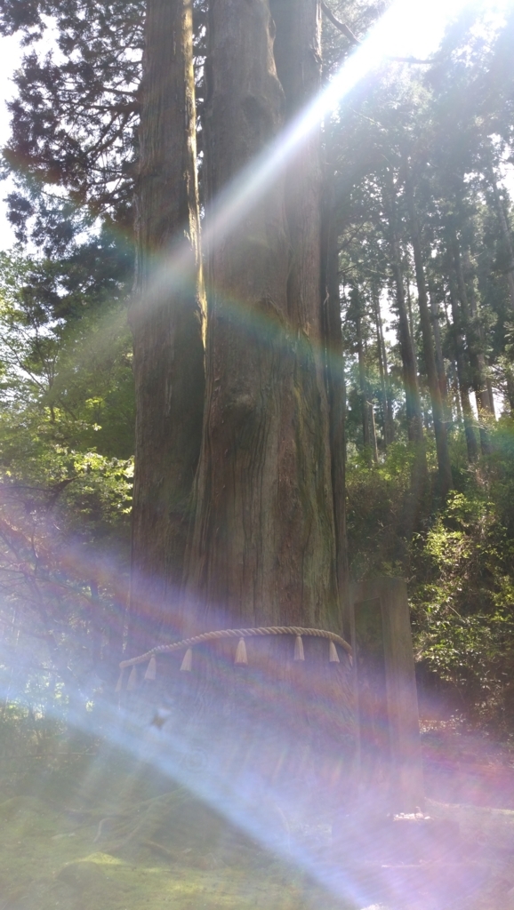 f:id:green_wind:20180106162513j:plain