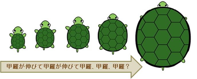 カメの性別 ネット情報について ブログ引越し検討中 仮住まい