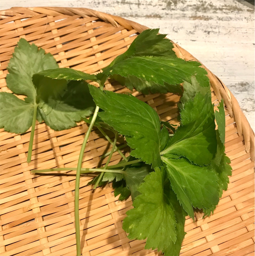 f:id:greenarchi:20191204223133j:image