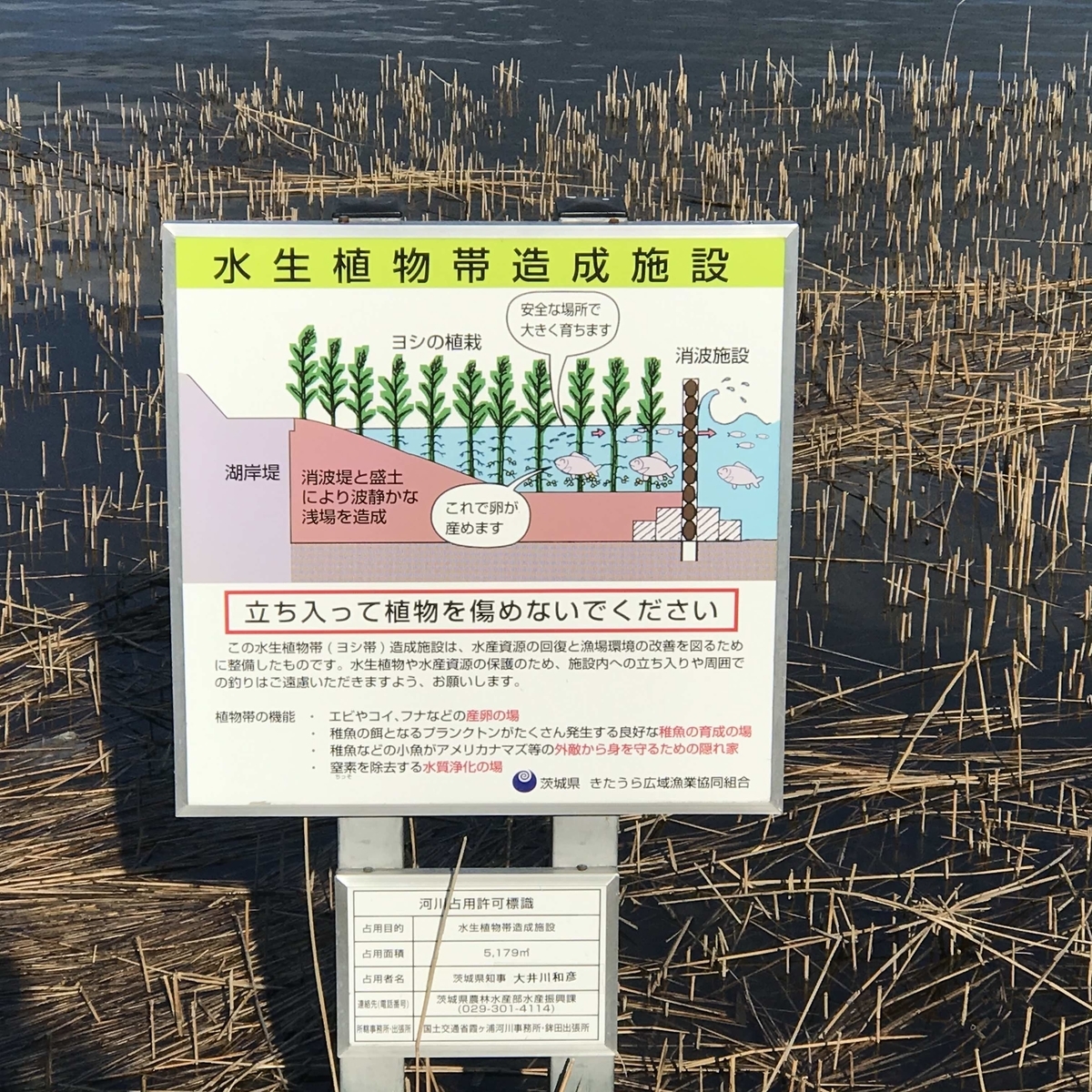 f:id:greenarchi:20200323183504j:plain