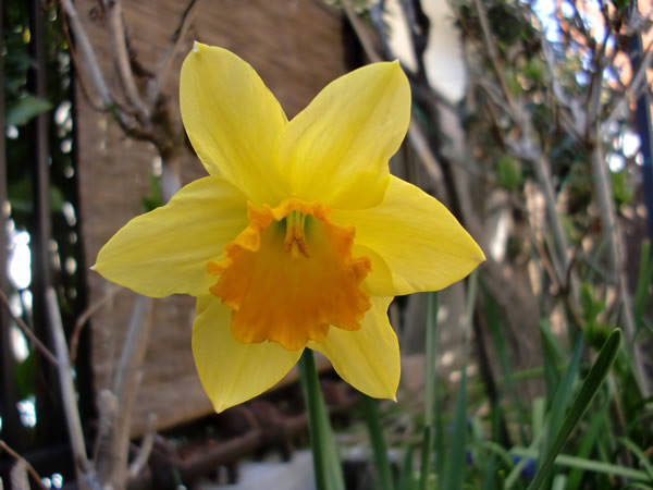 f:id:greenbaaba:20120330002307j:image:w173 f:id:greenbaaba:20120330002307j:image:w173