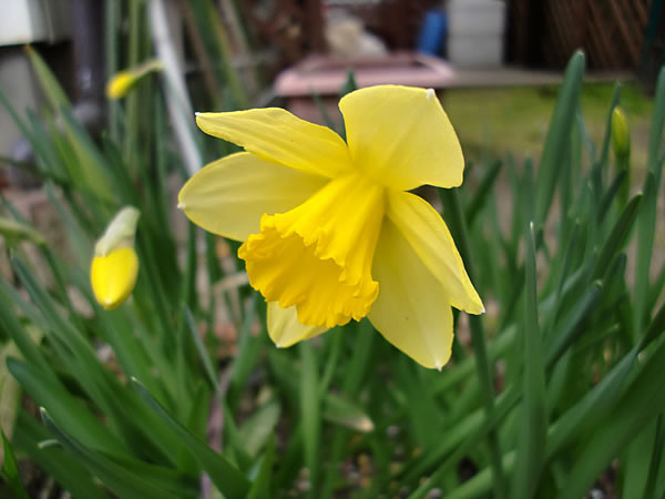 f:id:greenbaaba:20120330002309j:image:w173 f:id:greenbaaba:20120330002309j:image:w173