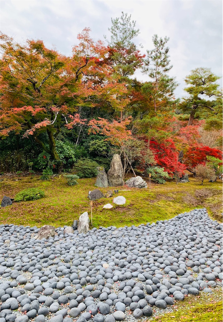 f:id:greencafe22:20201122214128j:image