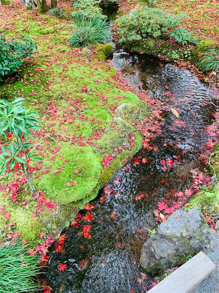 f:id:greencafe22:20201122214211j:image